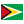 National flag of Guyana